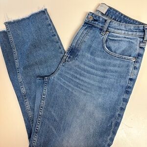 Everlane The Curvy Cheeky Jean 30 regular